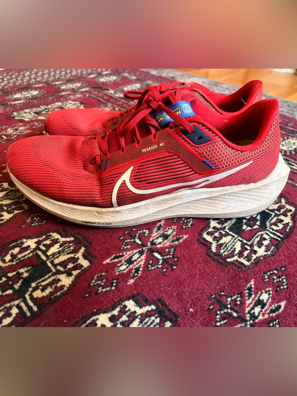 Nike Pegasus 40 Running Shoes Red